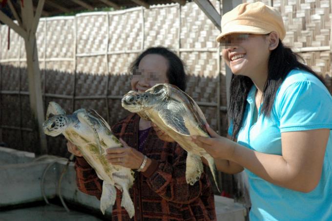 Visitors lift up juvenile sea turtles for photograph