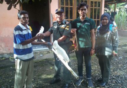 tim KSDA Ternate dan PROFAUNA menerima penyerahan kakatua