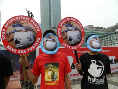 ProFauna kampanye penyu di Jakarta