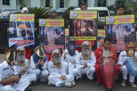 Peringatan hari primata Indonesia