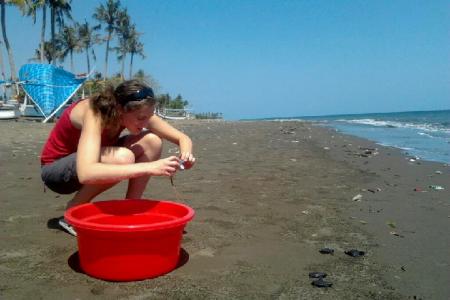 Helene Released Sea Turtle Babies on Perancak Beach