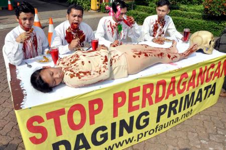 ProFauna Staged A Demonstration by the Forestry Department Building Protesting the Trade of Primate Meat
