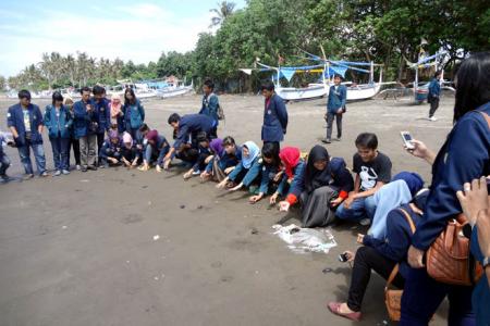 Mahasiswa biologi Universitas Brawijaya ikut terlibat langsung dalam pelepasan tukik di Pantai Perancak, Bali (5/12/201).
