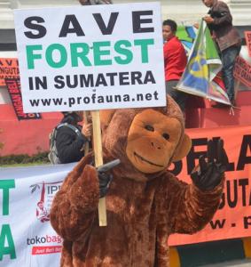 kampanye hutan Profauna di Sumatera