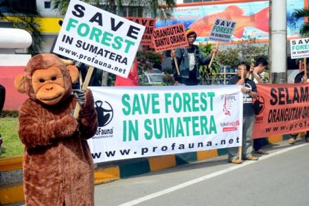 Aktivis ProFauna dan Slanker Medan menggelar kampanye di Medan untuk penyelamatan hutan Sumatera 