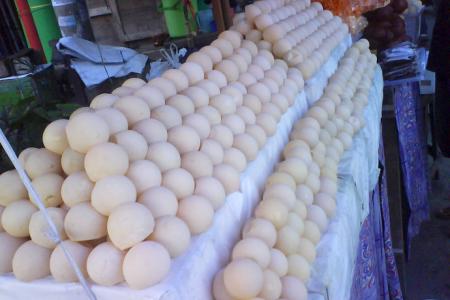 The Illegal Trade of Sea Turtle Egg in Kalimantan