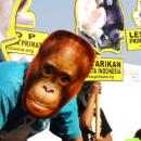 Kampanye Primata