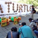 ProFauna Protests the Illegal Trade of Sea Turtle in Bali