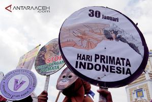 hari primata Indonesia di Aceh