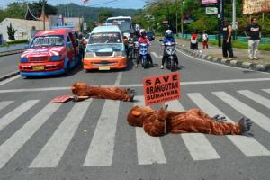 "Orangutan" Mati di Tengah Jalan Raya Kota Padang