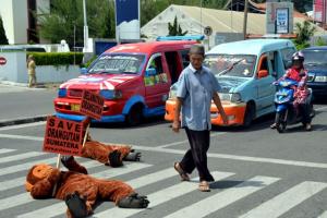 Dead "Orangutans" in The Streets of Padang