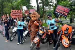 ProFauna Luncurkan Kampanye "Ride for Orangutan 2013"