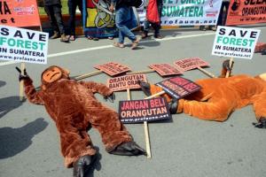 Aktivis ProFauna dan Slanker Medan menggelar kampanye di Medan untuk penyelamatan hutan Sumatera 