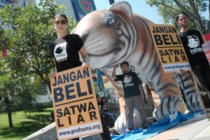 Campaign against wildlife trade