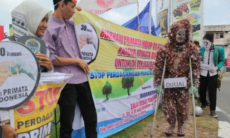 kampanye hari primata di Aceh