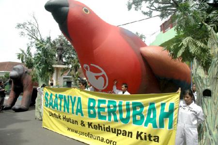 ProFauna urges Indonesian to Change Their Lifestyles to Save the Forests and All Living Creatures