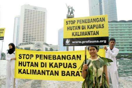 Stop the Deforestation in Kapuas, West Kalimantan