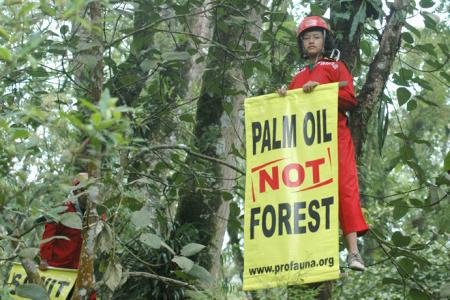 ProFauna Opposes Government's Initiative to Reclassify Palm Oil Plantations as Forests