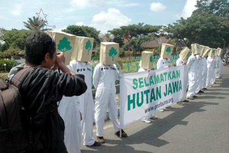 Forests in Java are Threatened, ProFauna Calls For Forest Protection Movement