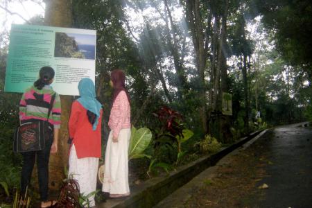 Traditional and Multi-Media for Forest Conservation in ProFauna's Education Centre