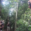 Ride for Orangutan