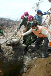 ProFauna Helps Animal Victims of Merapi Eruption