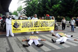 ProFauna Engaged Bandung into not Buying Wildlife