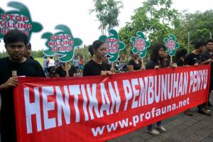 ProFauna Serahkan Petisi Internasional ke Gubernur Bali untuk Menindak Tegas Perdagangan Penyu