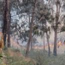 Kebakaran hutan di Gunung Arjuna