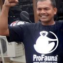 Koordinator chapter Medan adalah Asril, seorang supporter ProFauna yang juga aktif di organisasi konservasi orangutan Sumatera.