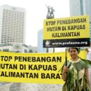 Demo Hentikan Penebangan Hutan di Kapuas Kalimantan Barat