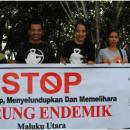 putri Indonesia 2011 dukung kampanye ProFauna di Malut