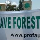 selamatkan hutan Kalimantan