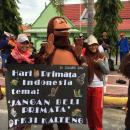 hari primata indonesia 2017