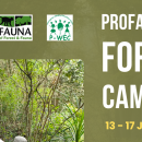 Profauna forest camp 9