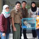 Penyerahan sukarela kukang di Bandung