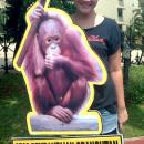 Melanie Subono Mengecam Pembantaian Orangutan di Kalimantan