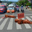 "Orangutan" Mati di Tengah Jalan Raya Kota Padang