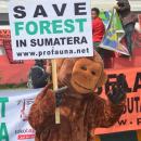 kampanye hutan Profauna di Sumatera